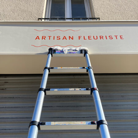 artisan fleuriste, objets colores, graphisme, logotype, logo, christine sejean, graphiste, peintre en lettres, reims, enseigne