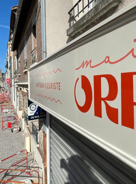 artisan fleuriste, objets colores, graphisme, logotype, logo, christine sejean, graphiste, peintre en lettres, reims