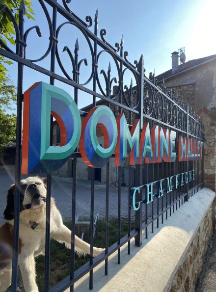 ENSEIGNE_DOMAINEMALLET2